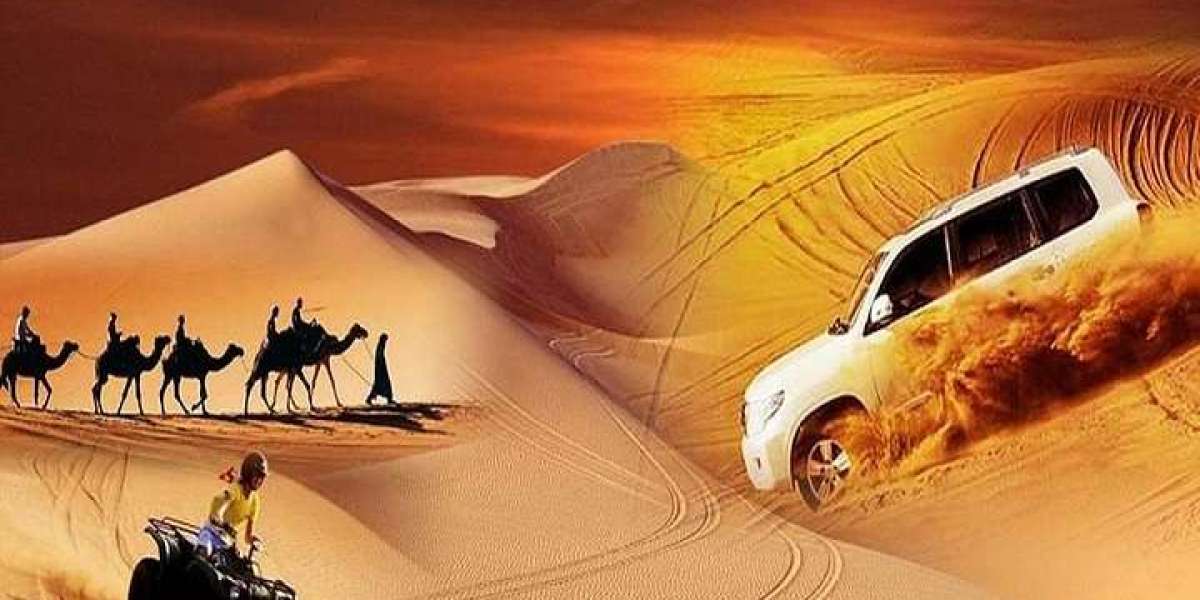 How Do Travelers Choose the Most Affordable Desert Safari Deals in 2026?