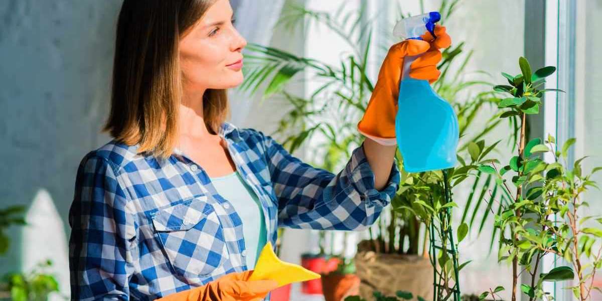 Spring Cleaning Services – Deep Clean Your Home for a Fresh Start