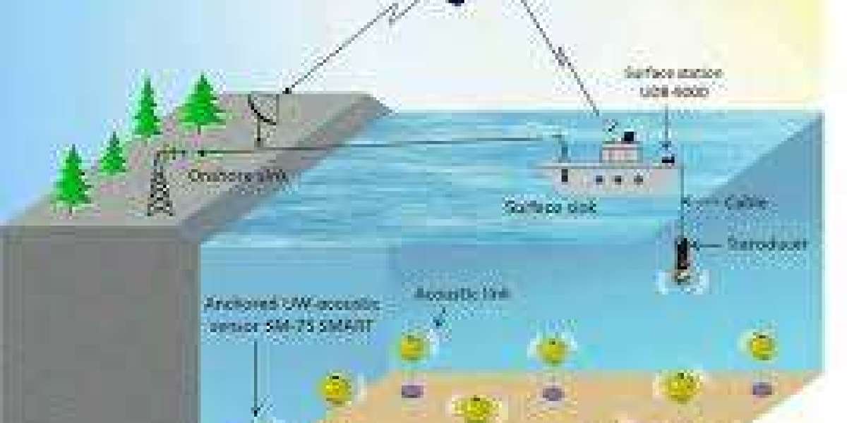 Navigating the Deep Blue: A Comprehensive Look at the Underwater Sensor Market and Future Predictions