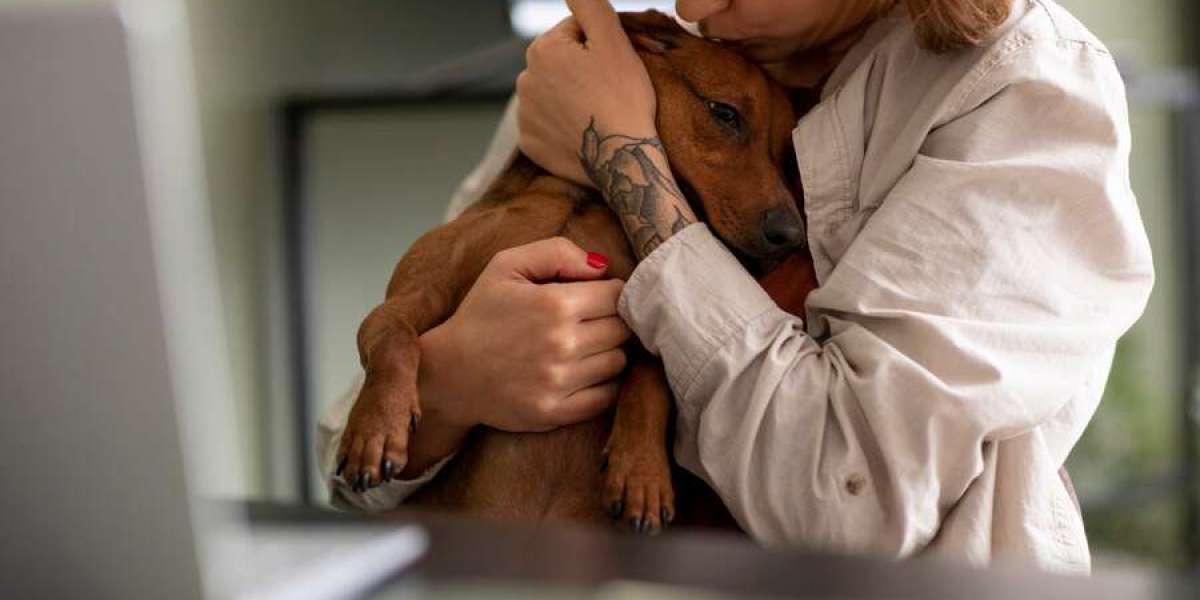 Treating Intestinal Helminths with Fenbendazole Tablet