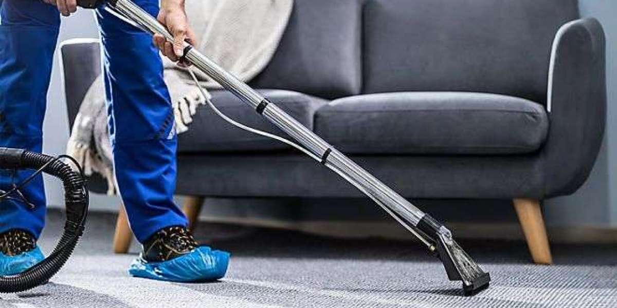 What to Expect from a High Quality Carpet Cleaning Service